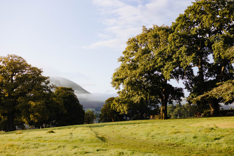 Meadow view at Another Place, The Lake