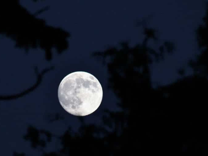 Image for By the light of a full moon blog post