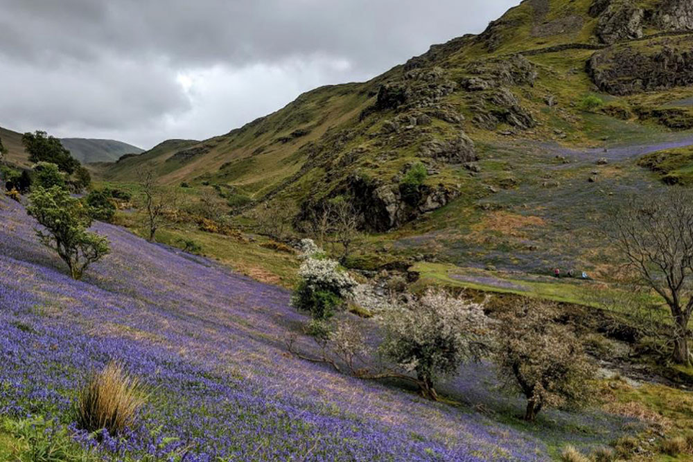 squat beck and rannerdale knotts and low bank