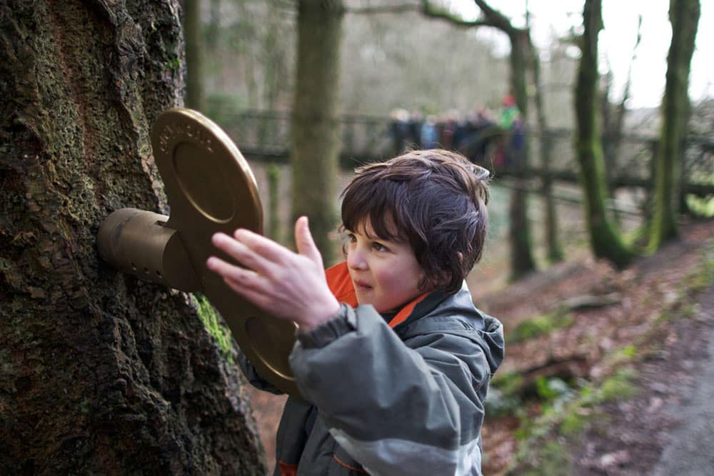 Young boy at a tree sculpture