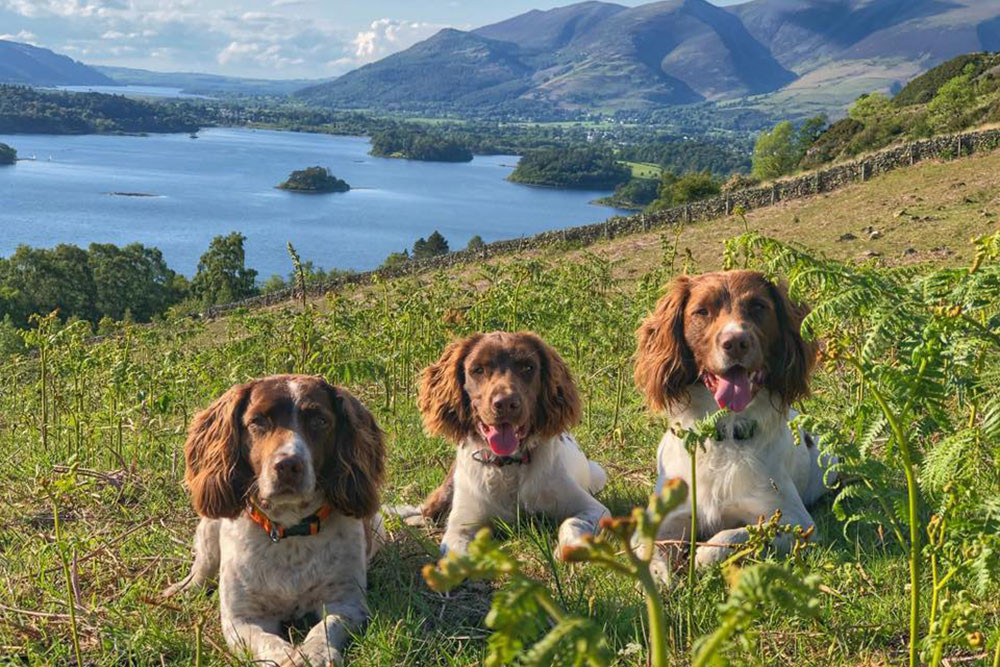 max paddy ullswater