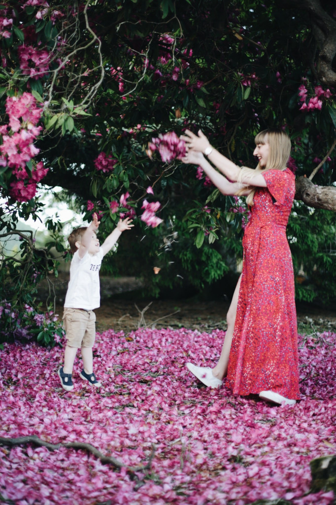 flower petals