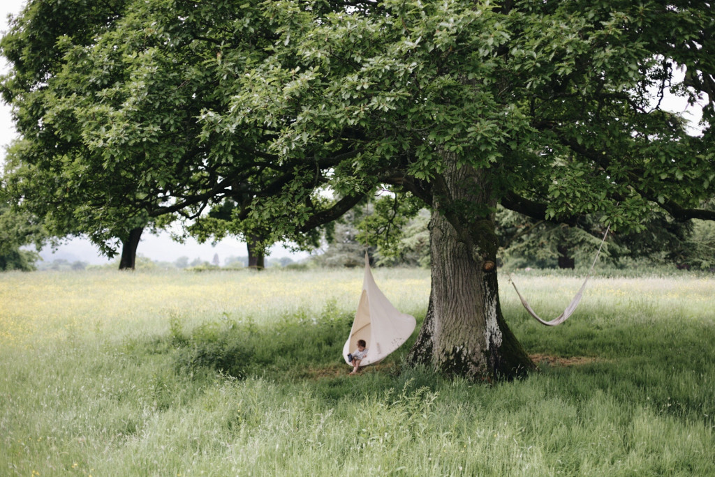 forest swing