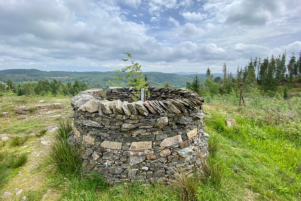 Grizzerdale sculpture forest Treehold