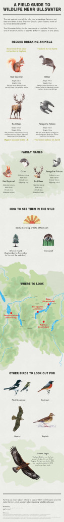 another place wildlife infographic 