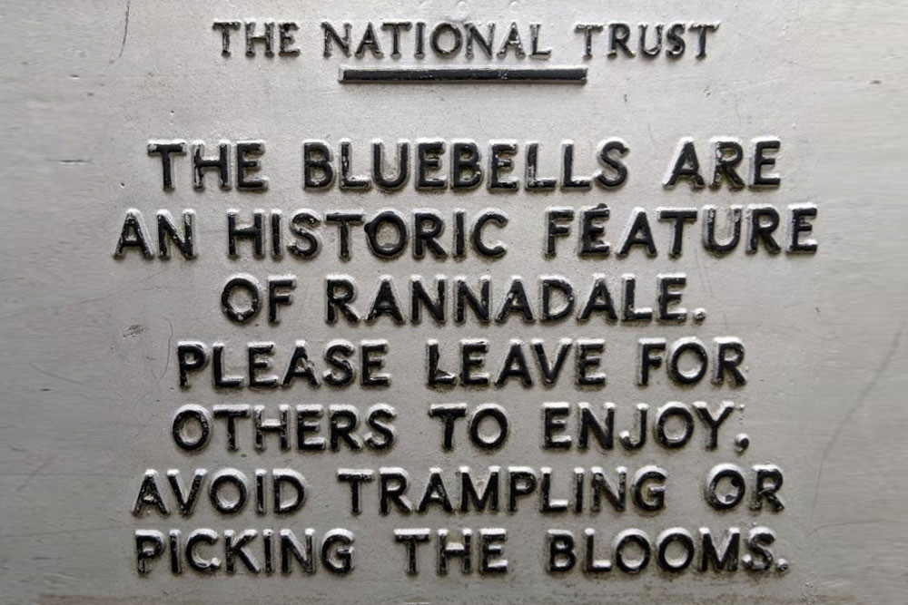 national trust bluebell sign 