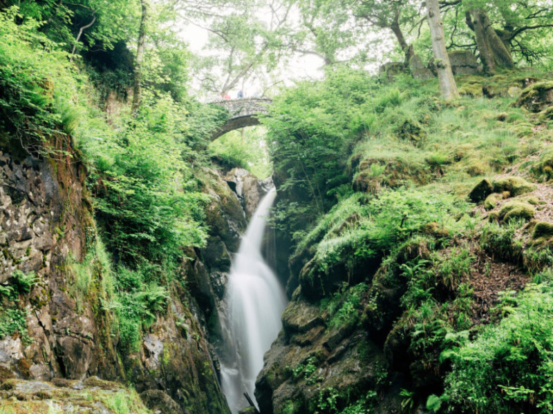 Aira Force