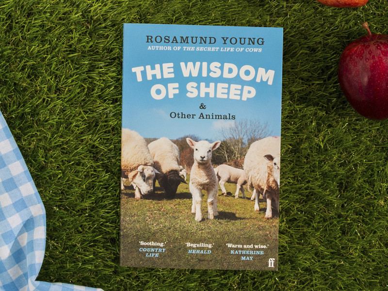 The Wisdom Of Sheep & Other Animals by Rosamund Young