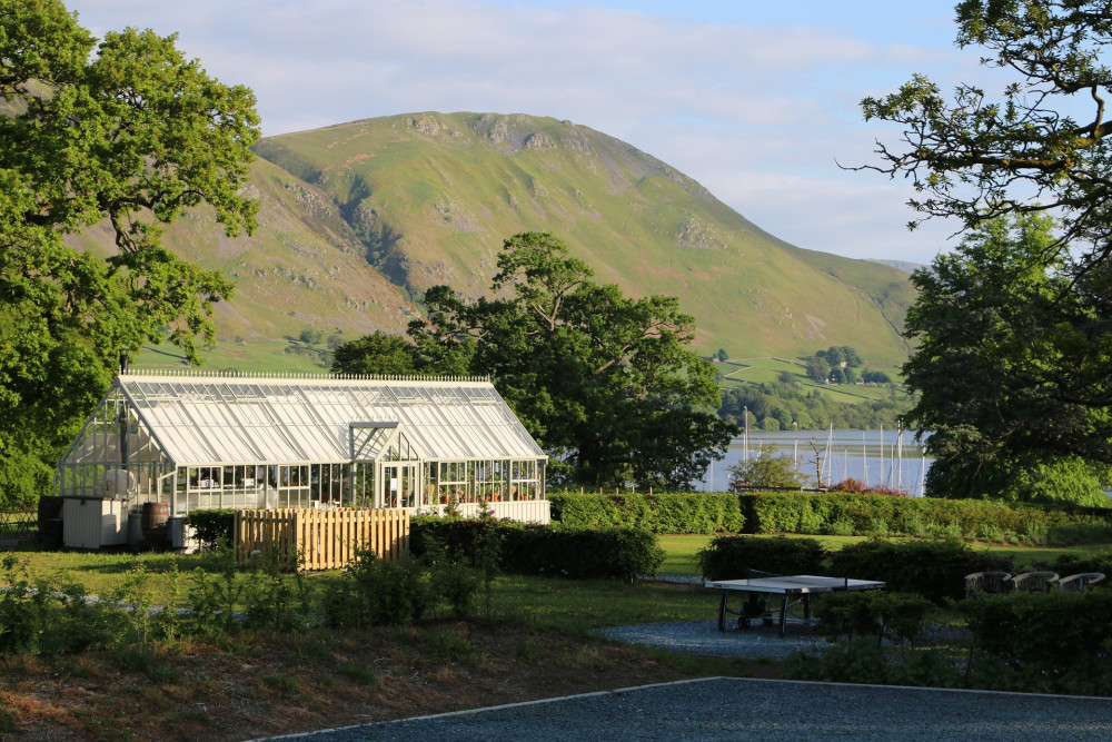 The Glasshouse