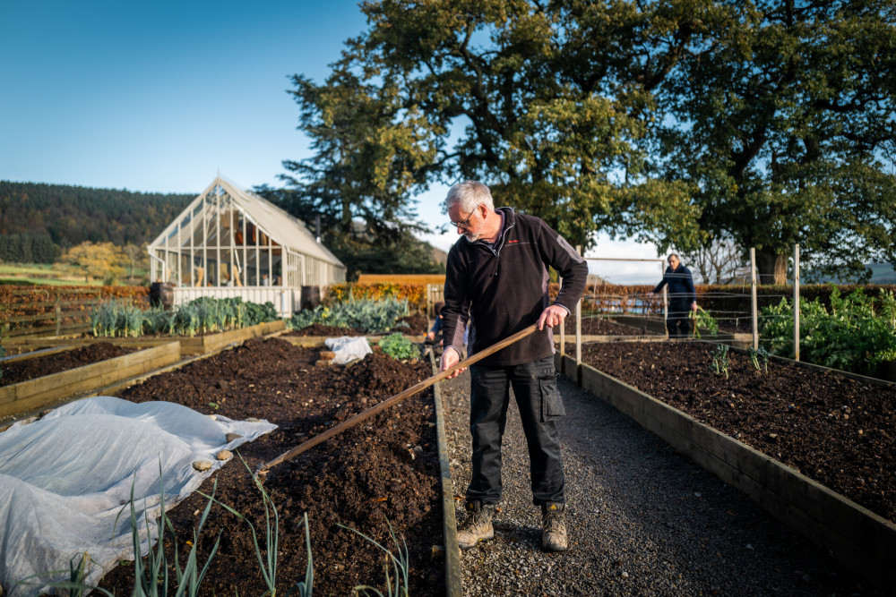 Maintenance man raking vegetable patch at Another Place, The Lake