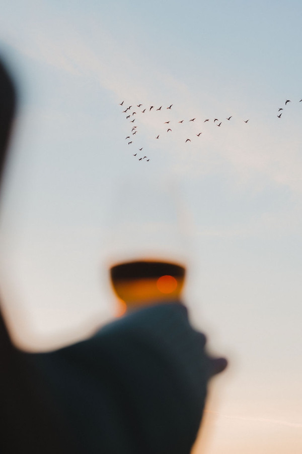 Geese in the skies above Another Place TheMachrie, in the foreground, the arm of a woman holding a whisky glass