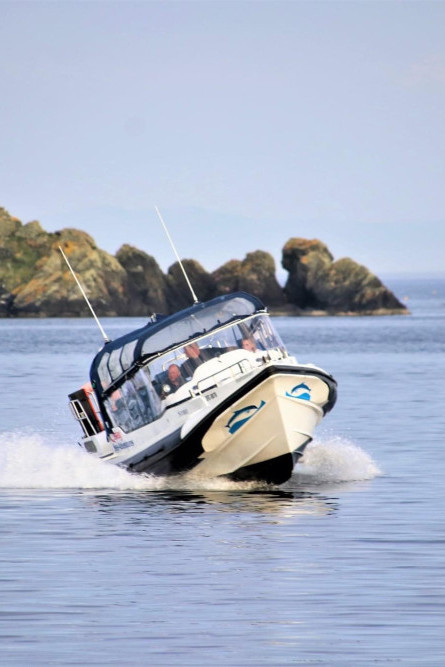 Islay Sea Adventures boat