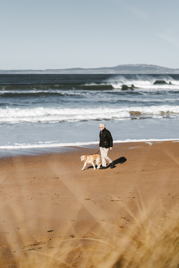 Dog walking on the beach on Islay