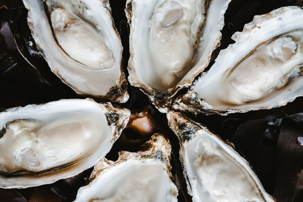 Islay Oyster Shed