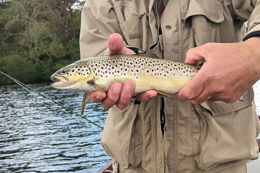 Fly Fish Islay