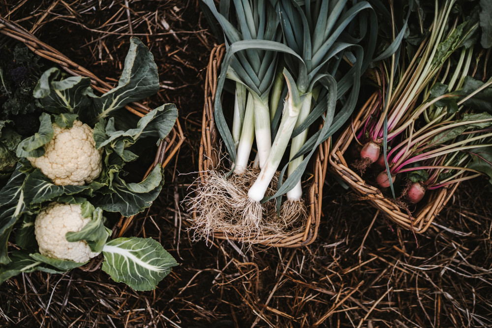 Vegetables harvested from Islay for 18 Restaurant and Bar