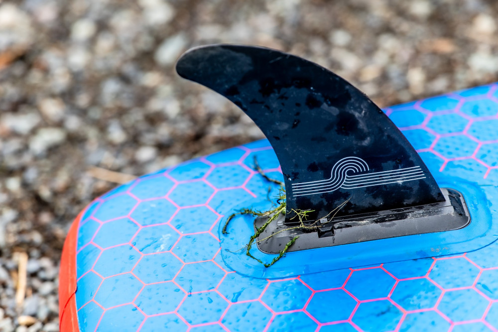 Invasive species caught in the gaps of a paddleboard