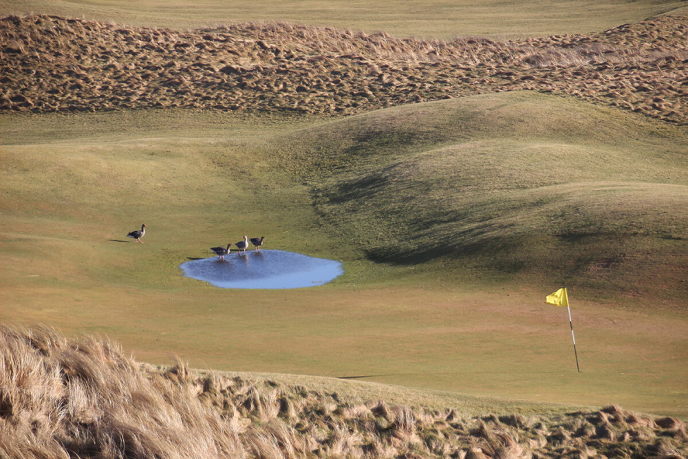 Low-lying greens at the old Machrie could flood in the winter