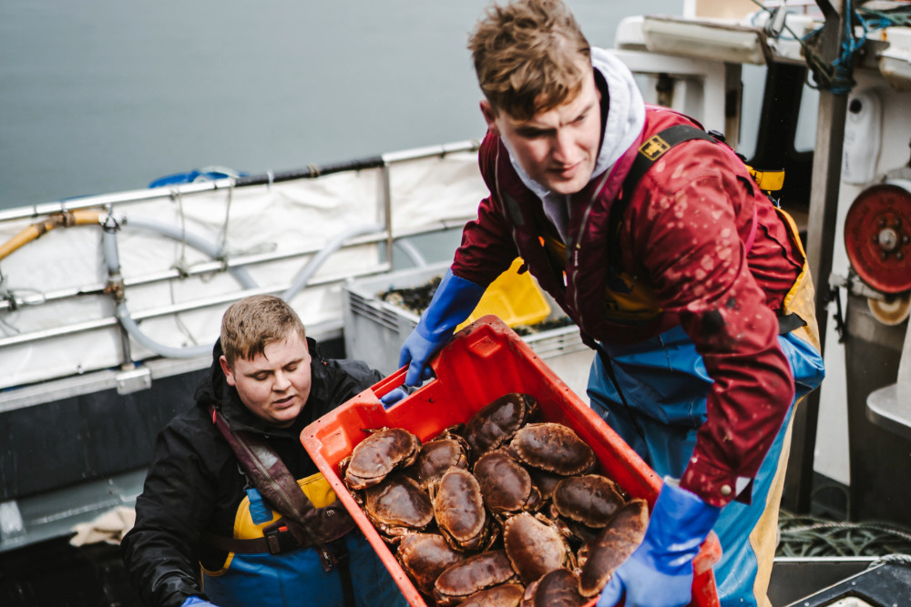 Crab caught off the coast of Islay for 18 Restaurant and Bar