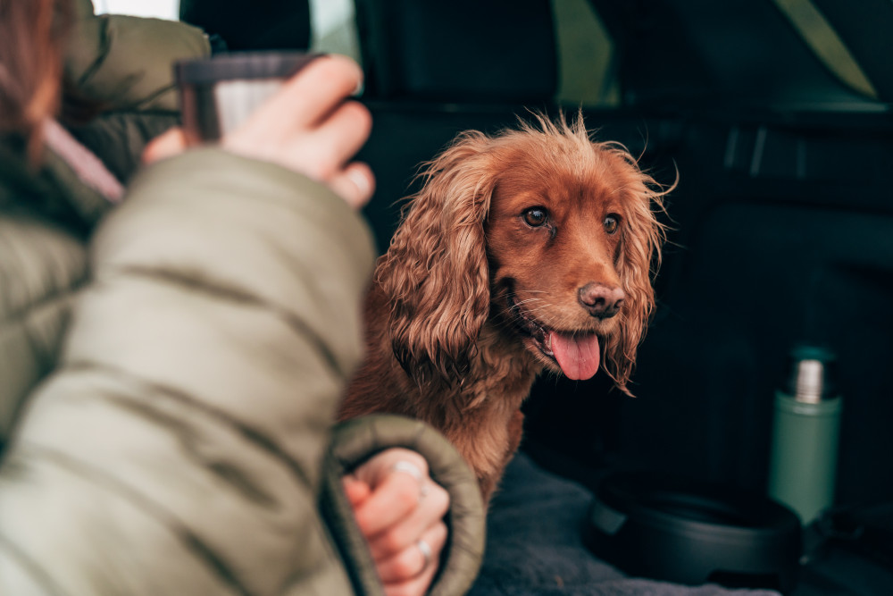 Nicodem creative another place hotels Lake District uk