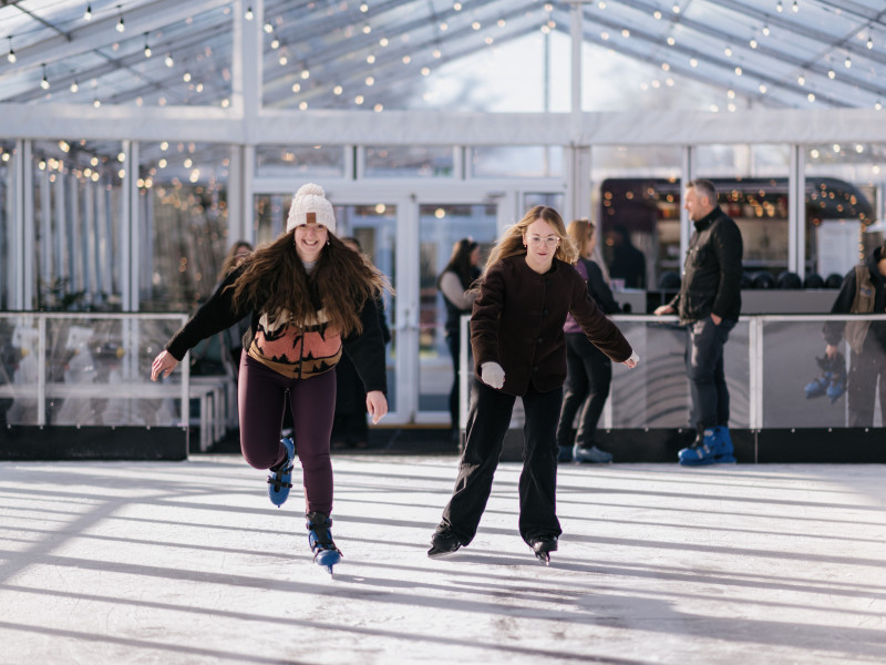 Image for Stay and skate room post