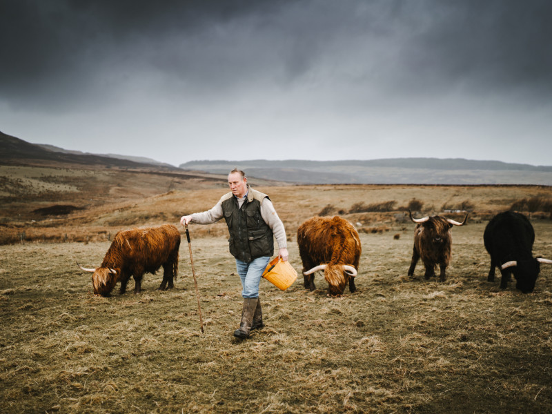 Image for Islay, Jura, Colonsay Annual Agricultural Show event